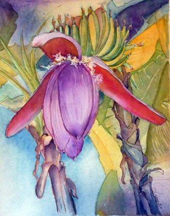 Fleur de bananier, aquarelle — Liliane Marchois
